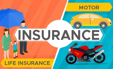 contact for insurance